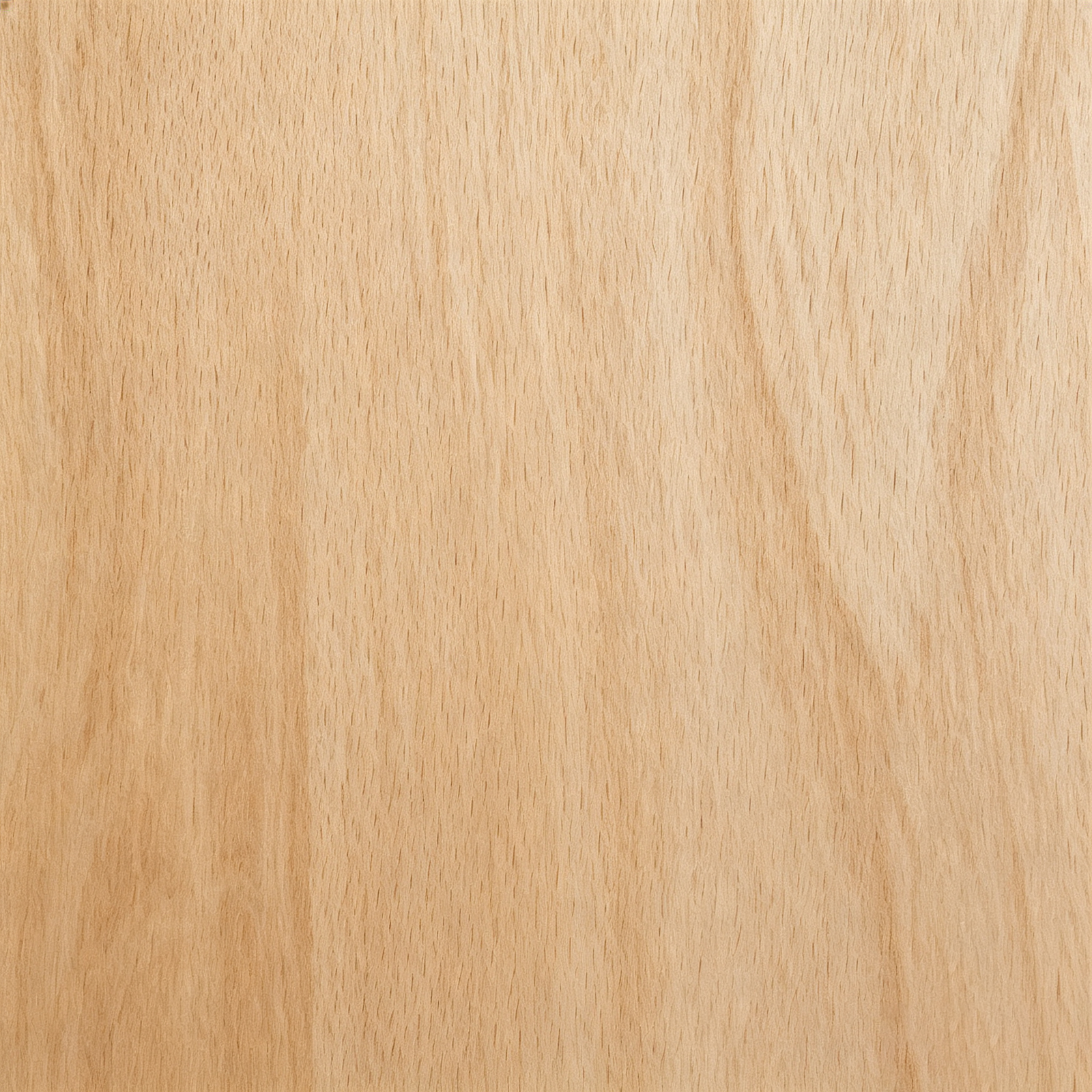 Maple