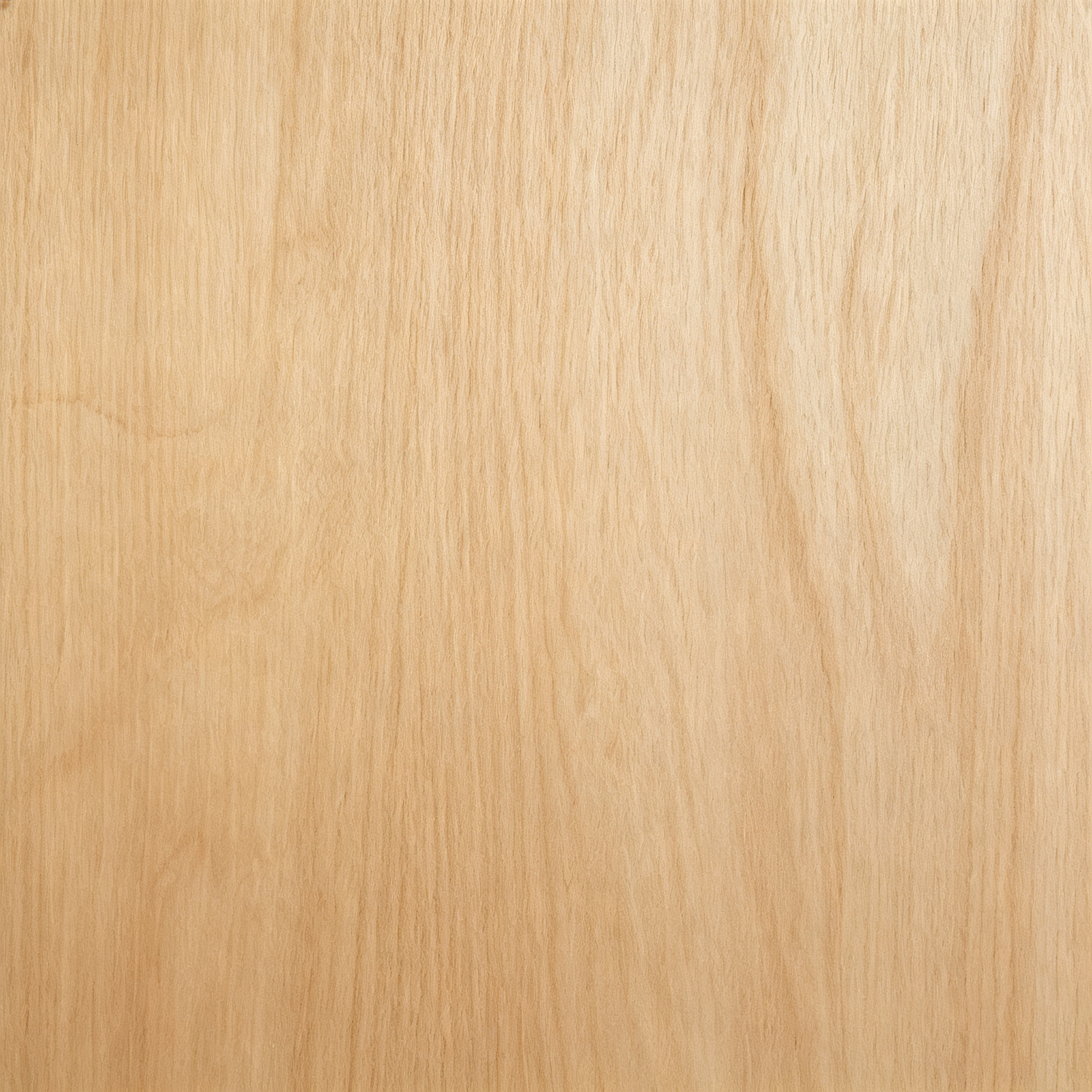 Basswood
